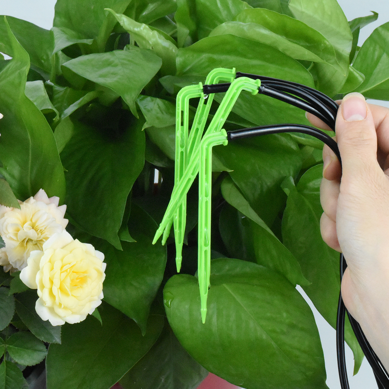 KESLA Garden 4/7mm to 3/5mm Ho - مراجعة Smart Garden Sprinkler System وسعره