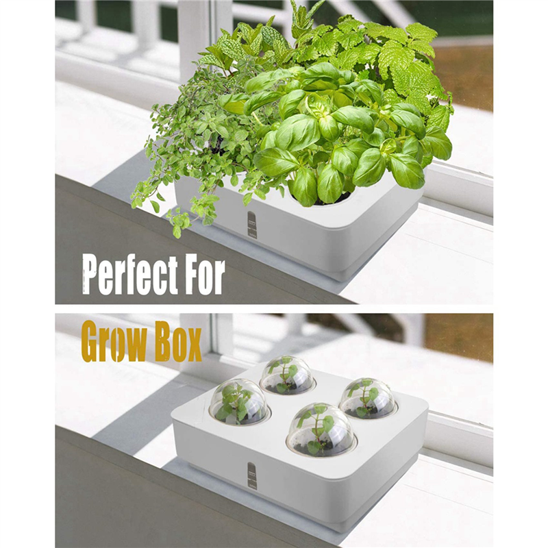 48X Plant Grow Sponges For Gar - مراجعة Smart Garden Nutrients وسعره