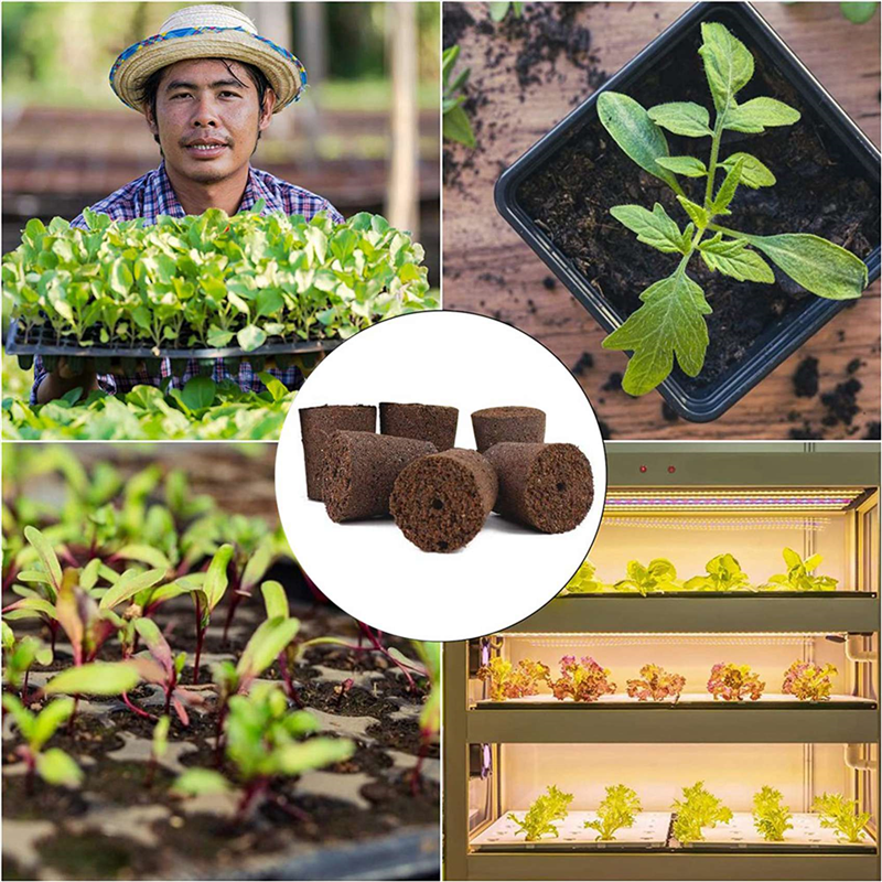 48X Plant Grow Sponges For Gar - مراجعة Smart Garden Nutrients وسعره