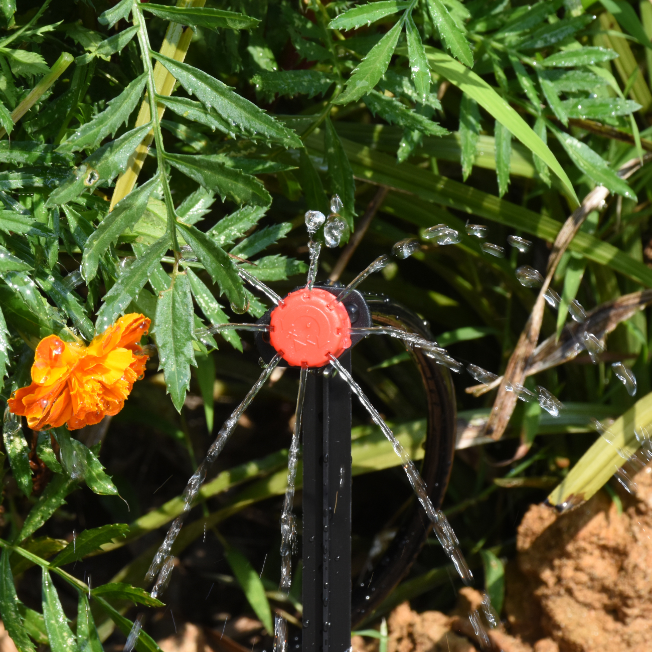 KESLA 30-800X Garden Drip Irri - مراجعة Smart Garden Sprinkler System وسعره