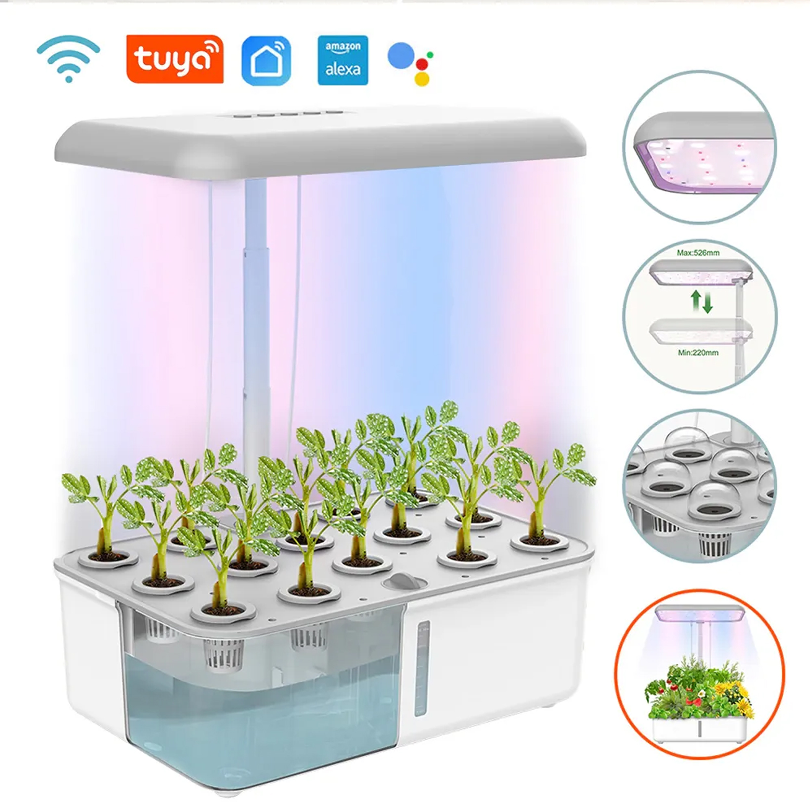 Tuya WiFi Plant Hydroponics Sy - مراجعة Smart Garden Gate وسعره