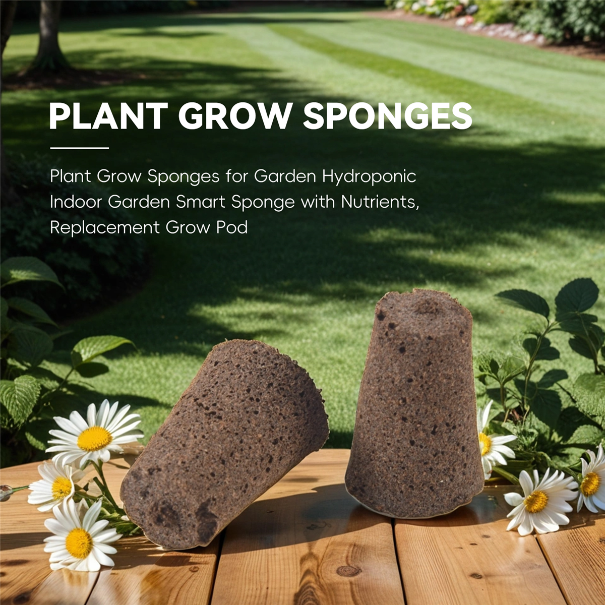 Grow Sponges Plant Grow Sponge - مراجعة Smart Garden Nutrients وسعره