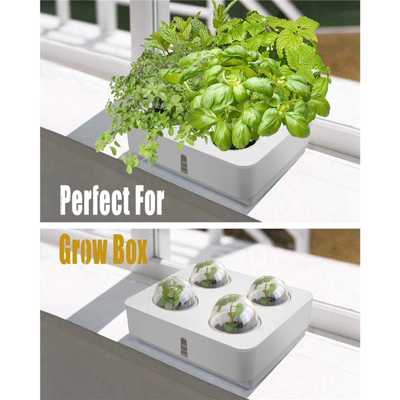 AT21-2X Plant Grow Sponges For - مراجعة Smart Garden Nutrients وسعره
