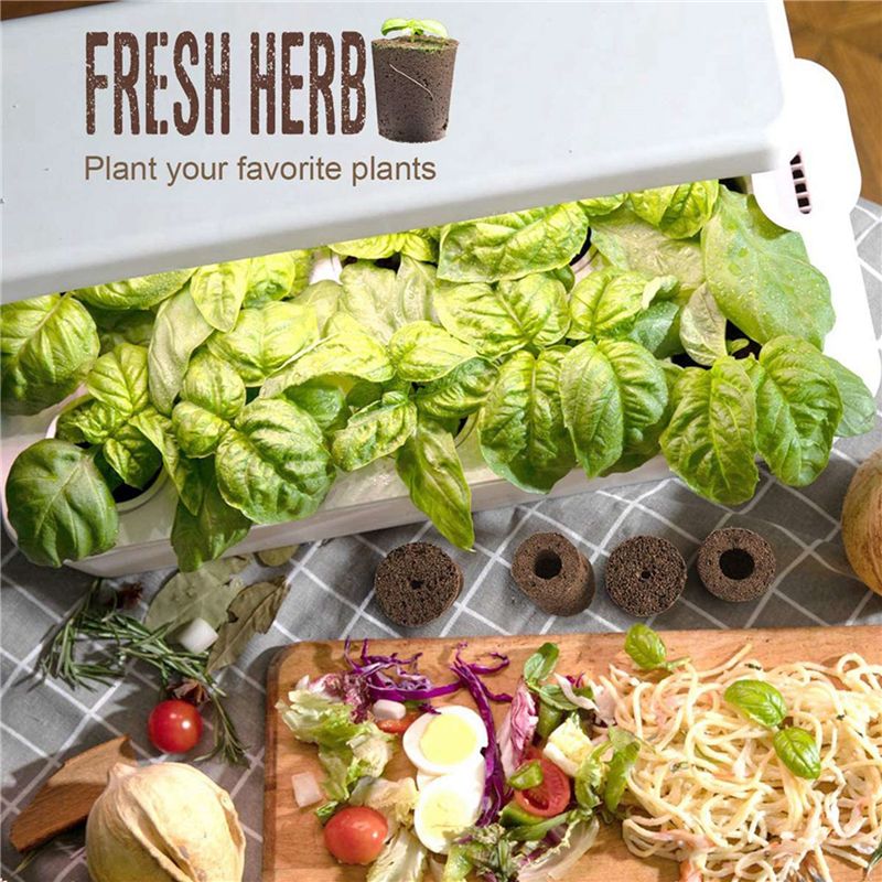 AT21-2X Plant Grow Sponges For - مراجعة Smart Garden Nutrients وسعره