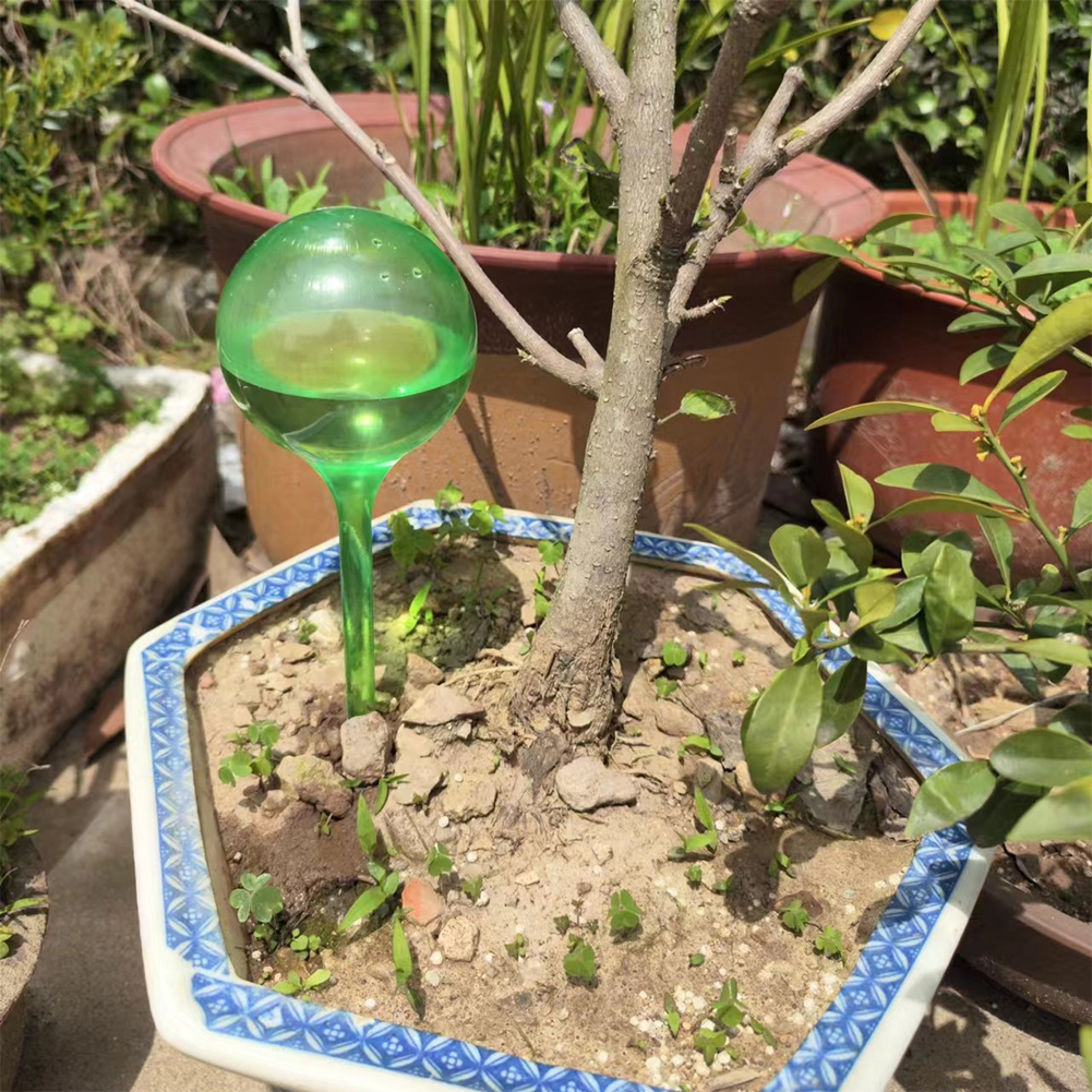 Automatic Plant Watering Bulbs - مراجعة Smart Garden Sprinkler System وسعره