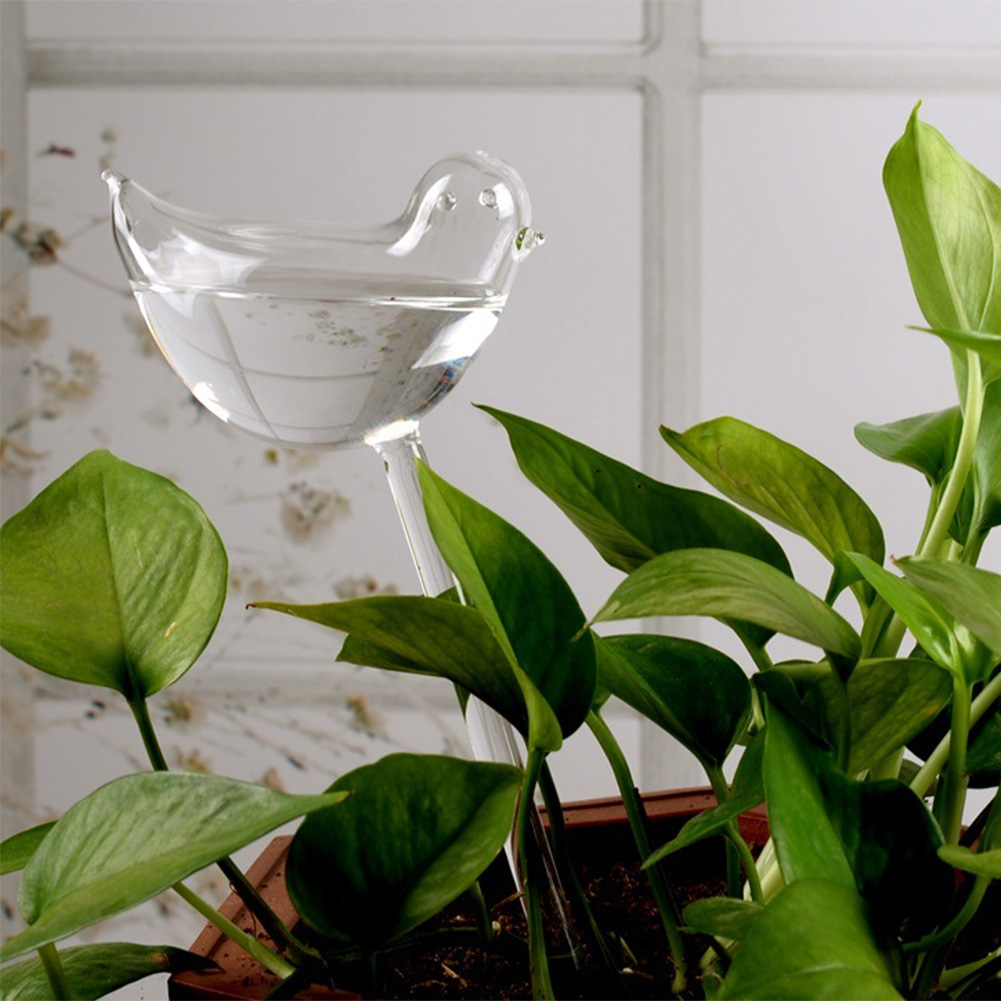 Automatic Plant Watering Bulbs - مراجعة Smart Garden Sprinkler System وسعره