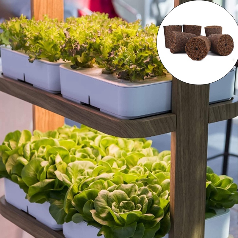 Plant Grow Sponges For Garden  - مراجعة Smart Garden Nutrients وسعره